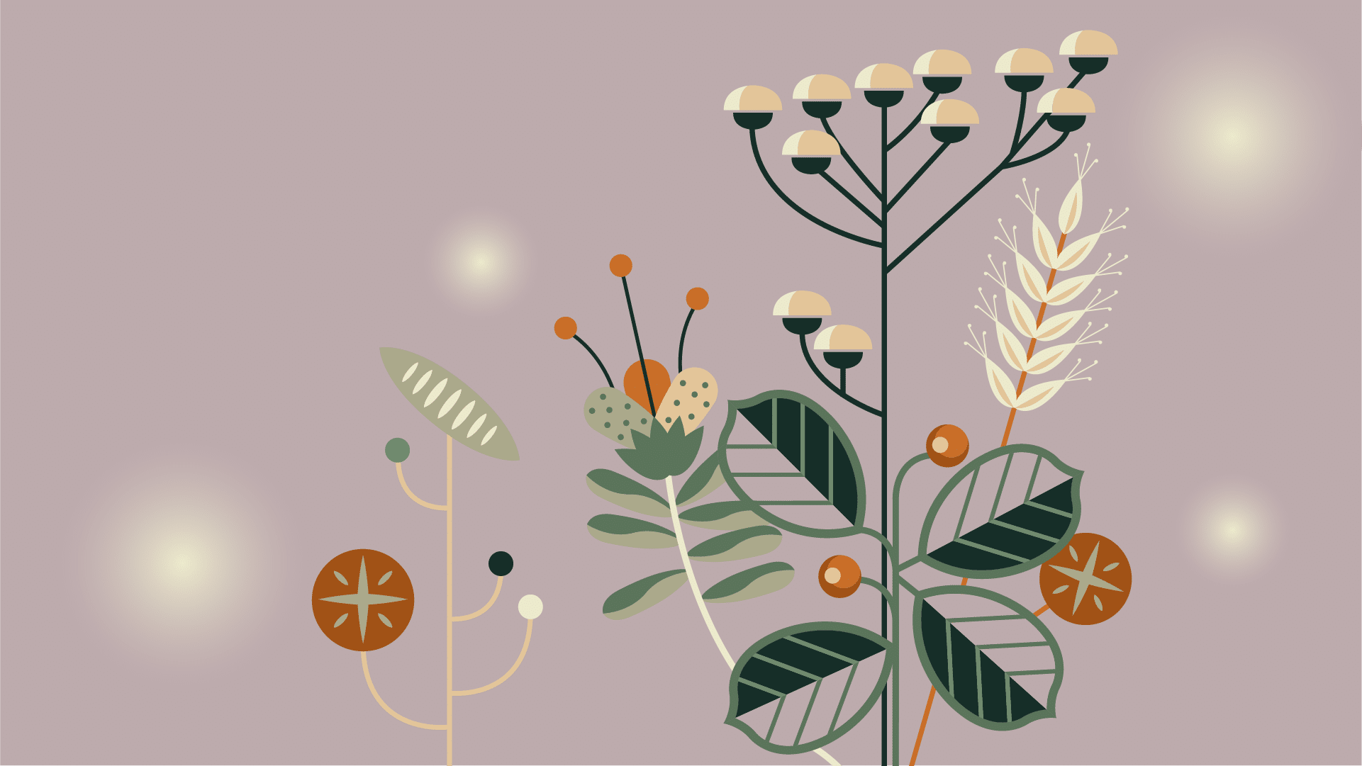 Illustrasjon av blomster og vekster i hvitt, oransje, grønt og brunt.
