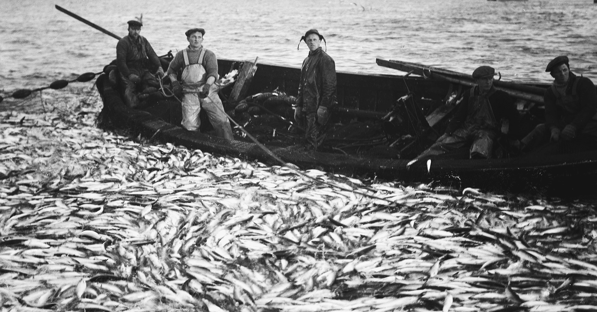 Fiskere i en båt. Foran dem et helt hav av enorme mengder sild.