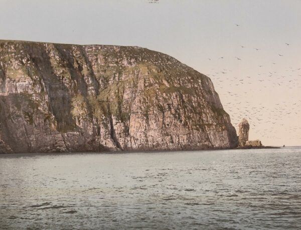 Fugleberget på Helmsø, 1890–1900